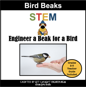 Bird Beaks STEM Challenge Centers - Cheryl Nelson